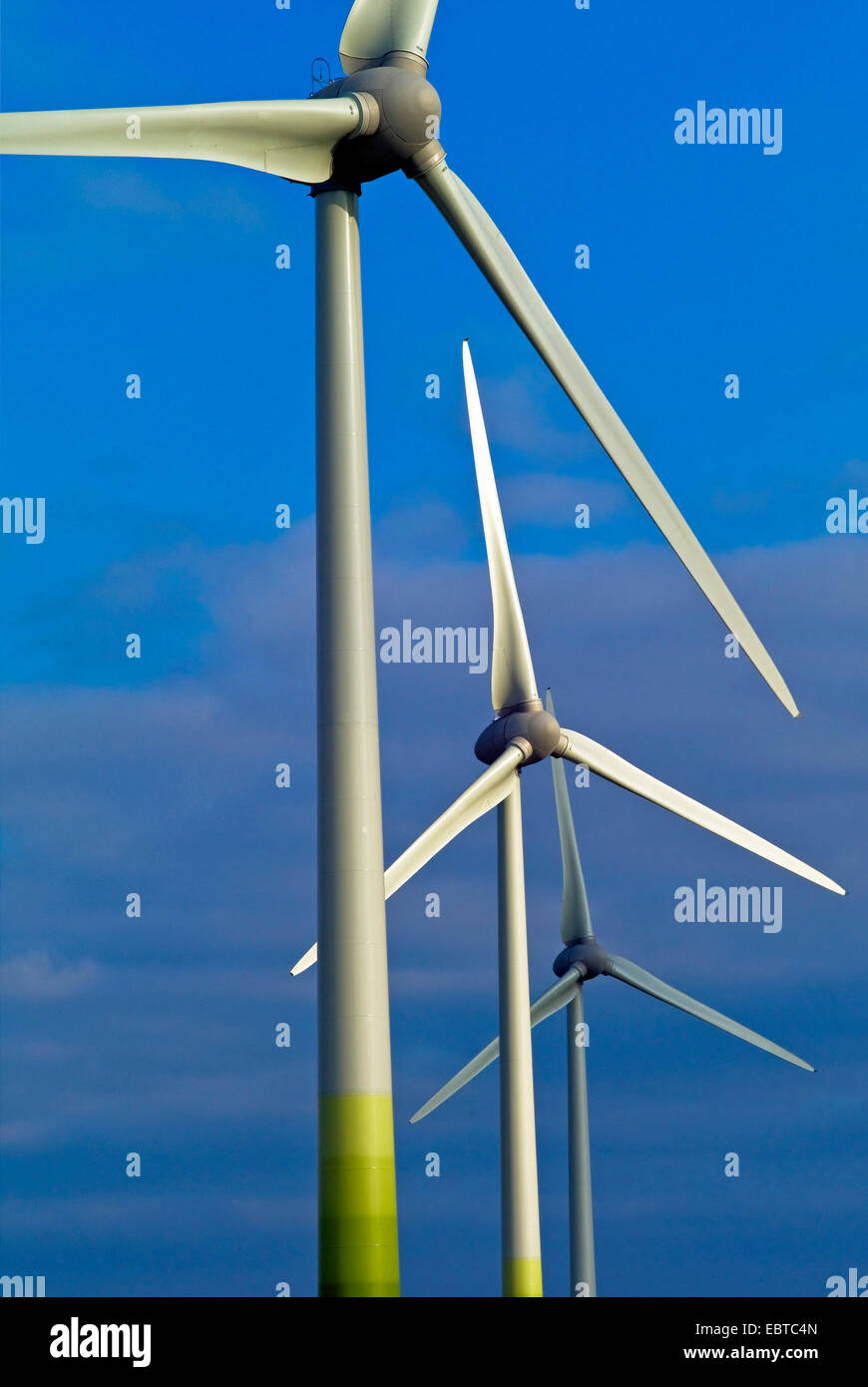 inferiores fotografías e imágenes de resolución - Alamy