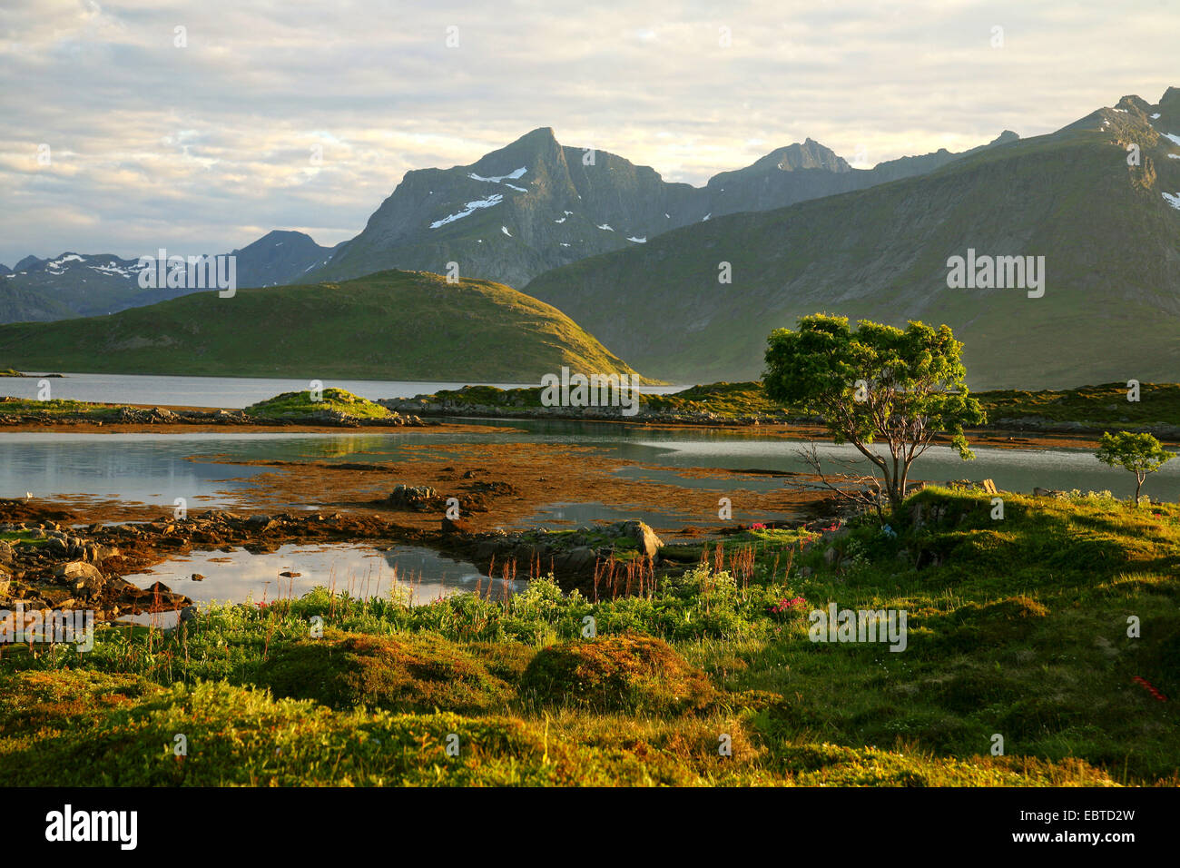 Paisaje natural, Noruega, Islas Lofoten, Fredvang Foto de stock