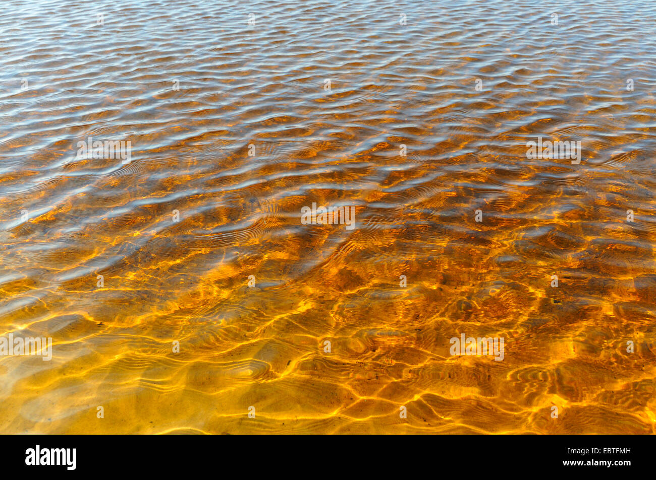 En aguas poco profundas de color ámbar con ligeras ondas en la arena de la playa, en Alemania, en el Estado federado de Mecklemburgo-Pomerania Occidental Foto de stock