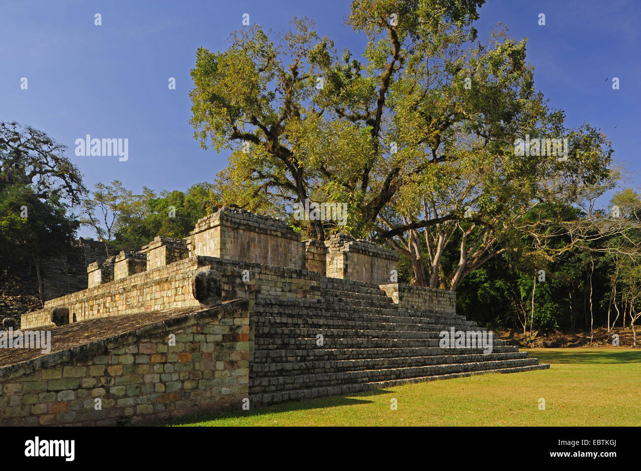 Templo Maya , Honduras, Copán Foto de stock