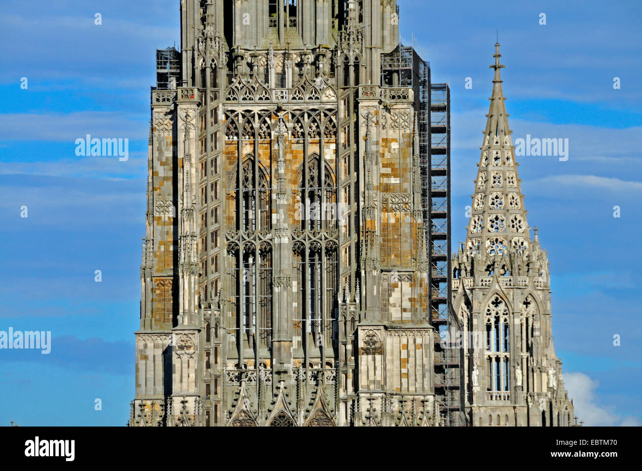 Ulm Minster, alta iglesia en todo el mundo, detalle, Alemania Baden-Wurtemberg, Ulm Foto de stock