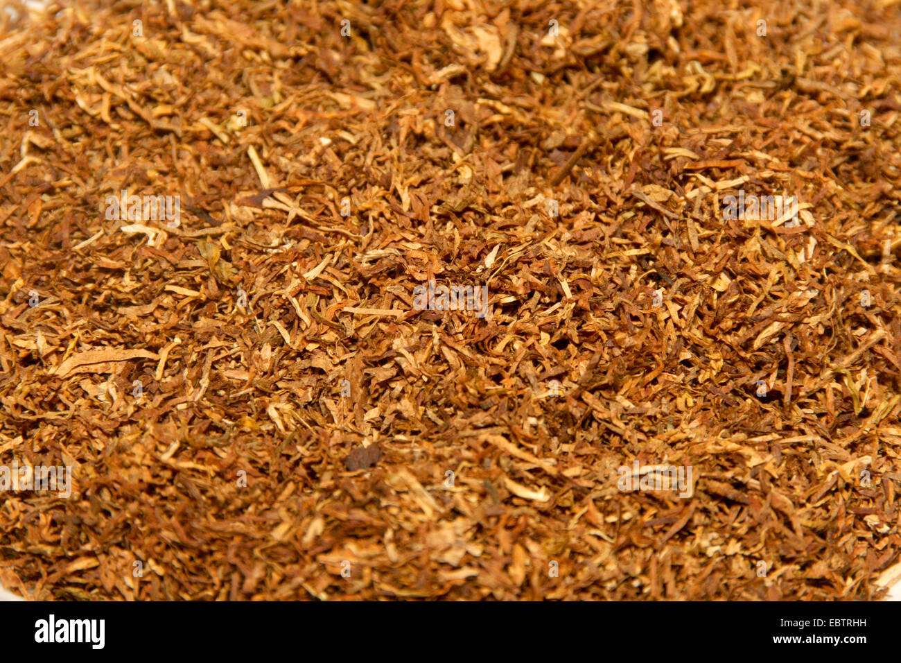 Tabaco American Blend, en Alemania, en Renania del Norte-Westfalia Foto de stock