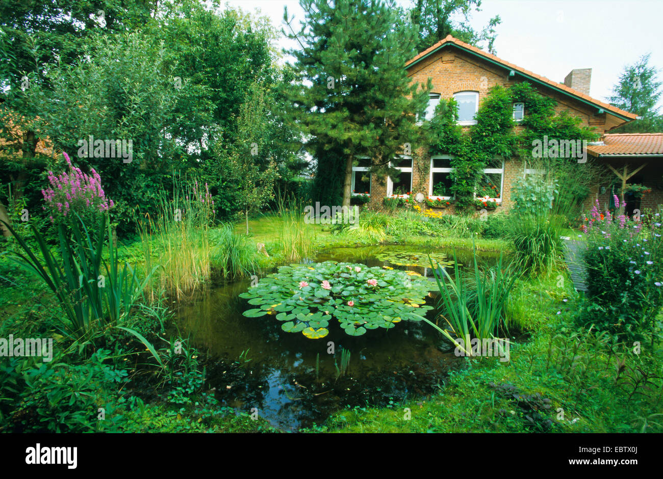 Jardín con estanque natural, Alemania Foto de stock