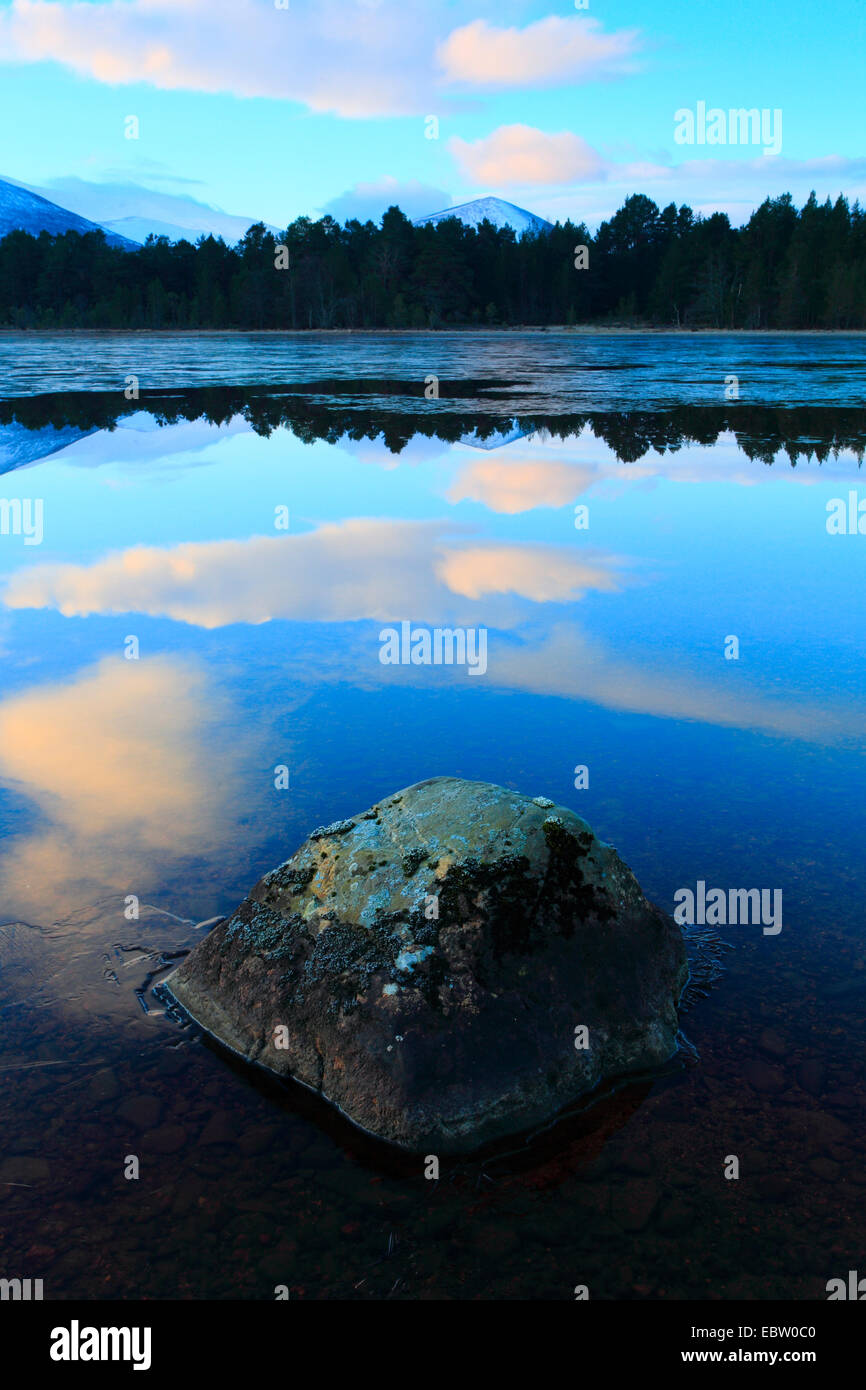Loch Morlich en la mañana, el Reino Unido, Escocia, el Parque Nacional de Cairngorms Foto de stock