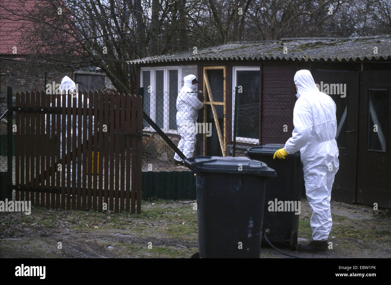 Tres epidemiólogos en trajes de protección en una granja afectada por la gripe aviar, Alemania Foto de stock