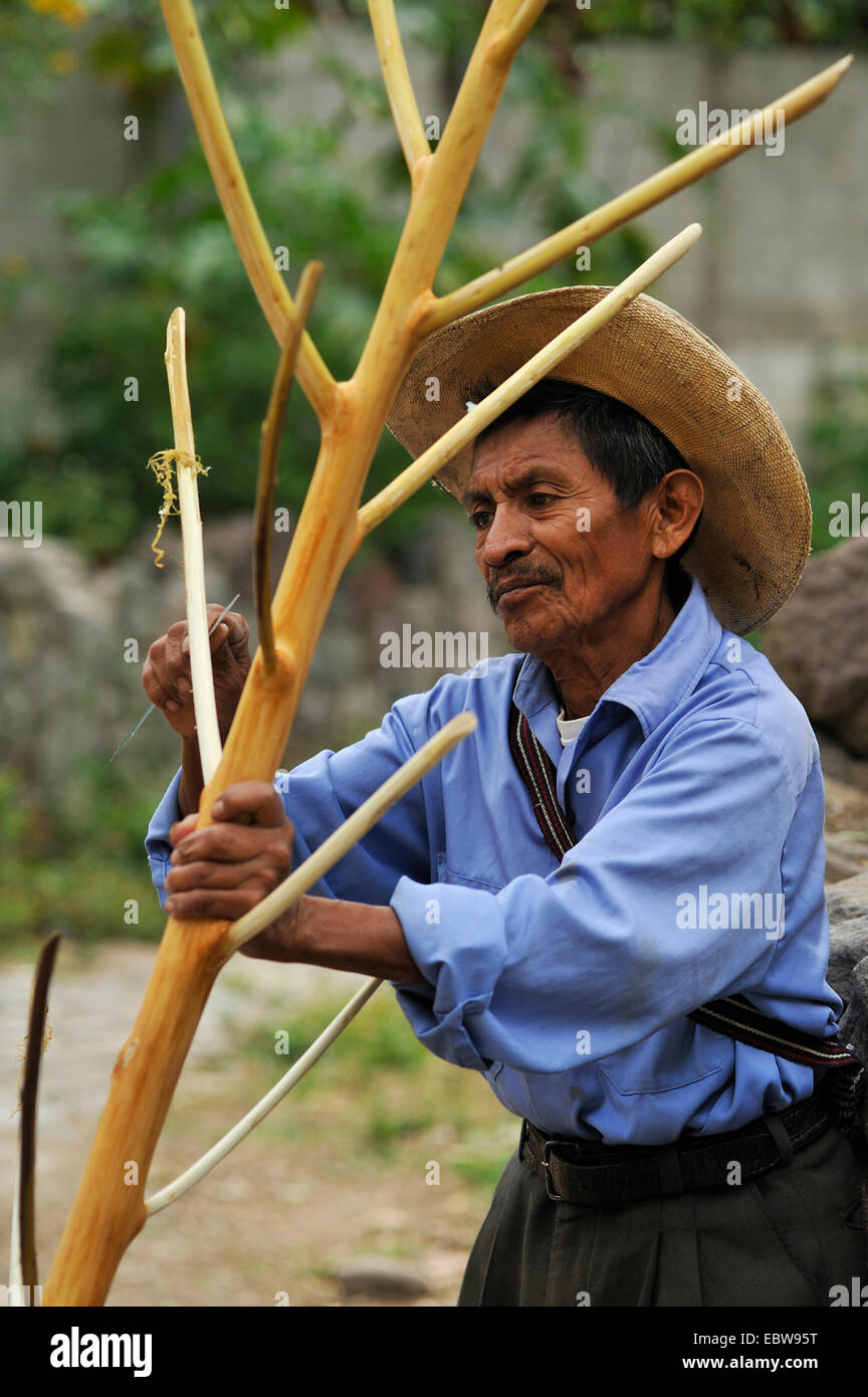 Hombre mayor haciendo un perchero de un árbol joven, Guatemala, lago de Atitlán Foto de stock