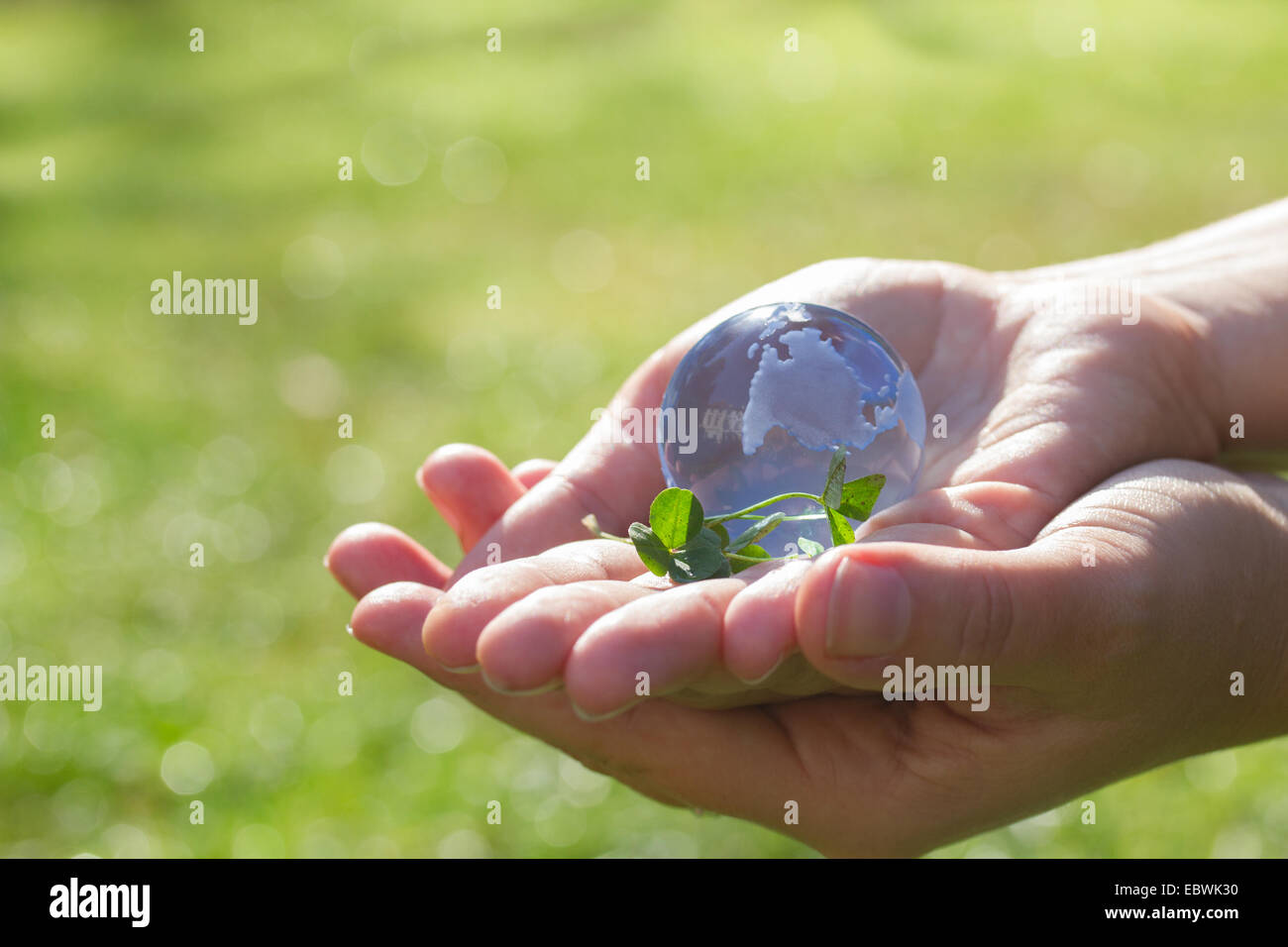 Concepto de protección del medio ambiente Fotografía de stock Alamy Concepto de protección del medio ambiente Fotografía de stock Alamy