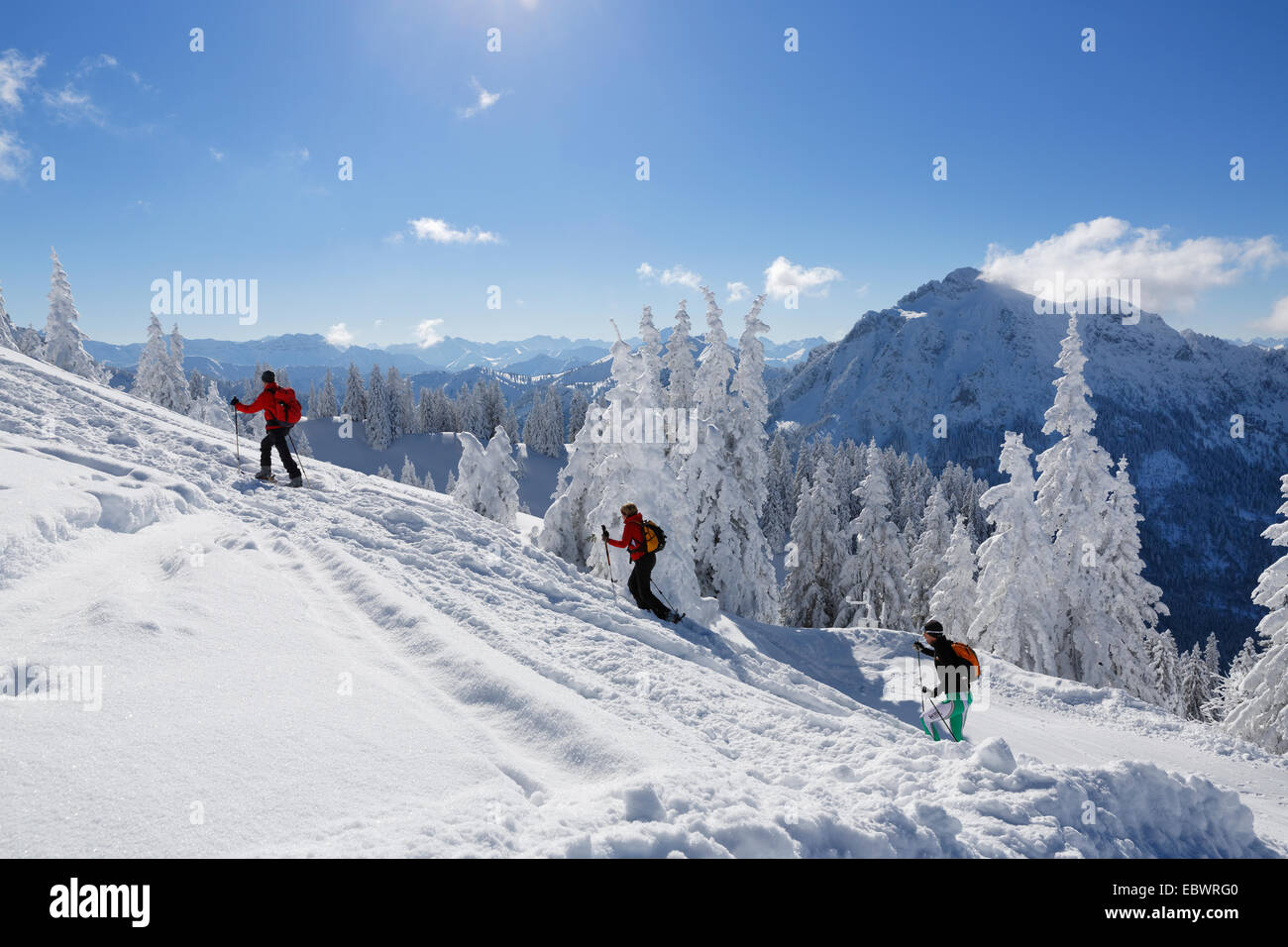 Los esquiadores de montaña Saeuling en Tegel, en la parte trasera, la montaña Tegelberg, Ammergauer Alpen, Schwangau, Ostallgäu Foto de stock