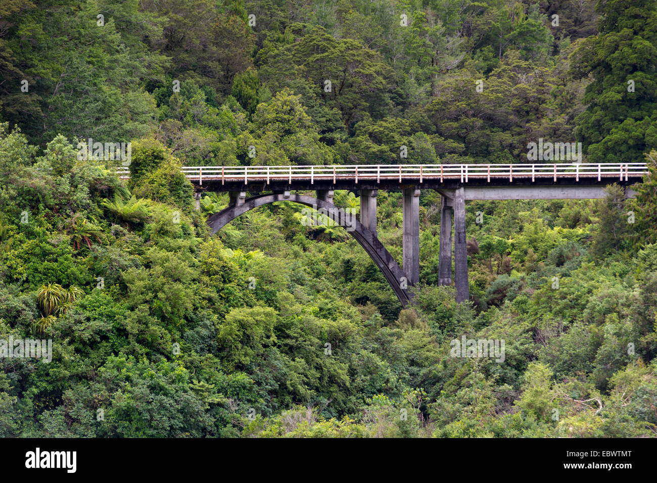 Puente del ferrocarril en la selva, Charleston, región de la Costa Oeste, Nueva Zelanda Foto de stock