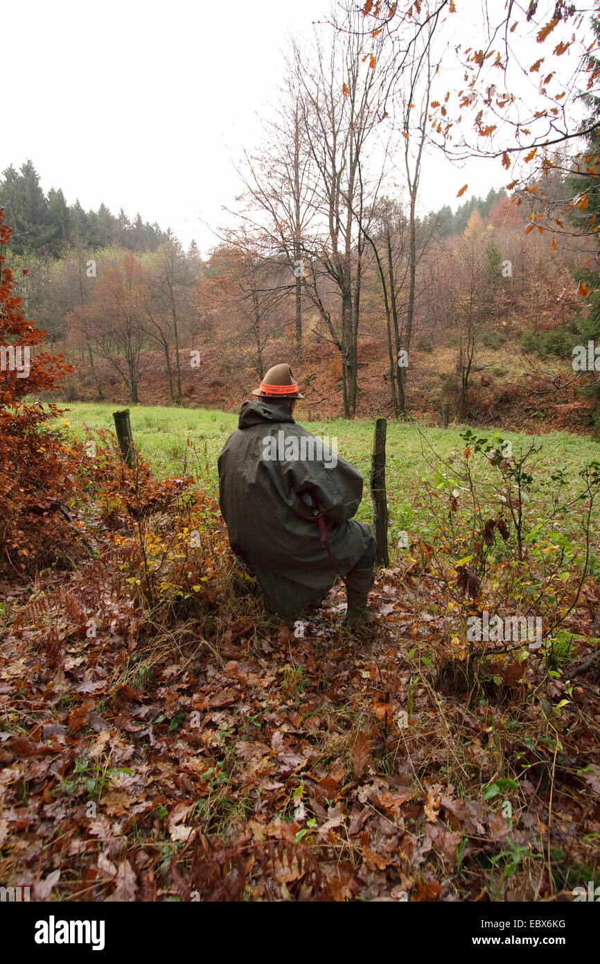 Hunter (shooter) sentarse y esperar con el fusil en mano durante una batida, Alemania Foto de stock