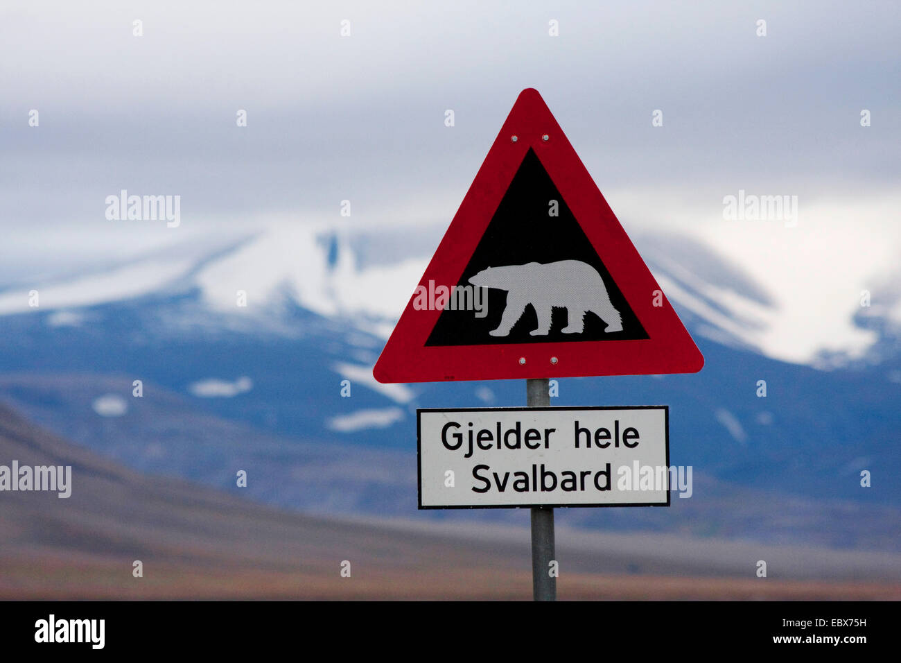 El oso polar (Ursus maritimus), signo de advertencia de salida en una aldea de los osos polares, Noruega, Svalbard, Adventdalen, Longyaerbyen Foto de stock