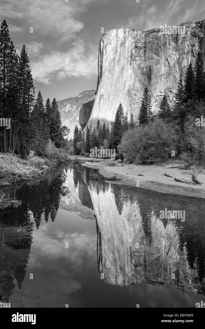 El Capitan se refleja en el río Merced, valle de Yosemite, California, USA. Otoño (octubre de 2014). Foto de stock