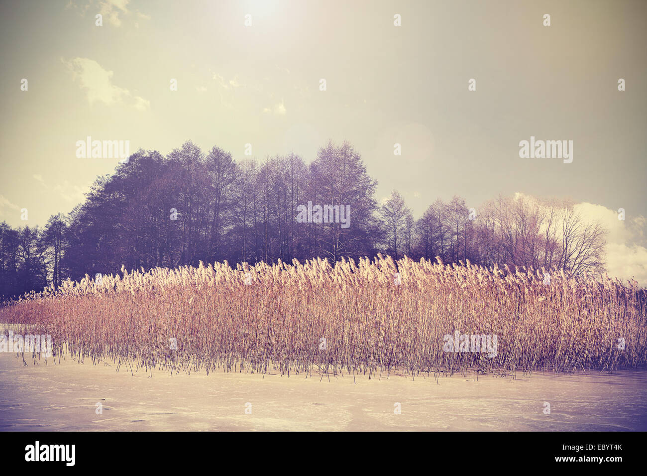 Vintage Retro tonificado imagen del lago en invierno. Foto de stock
