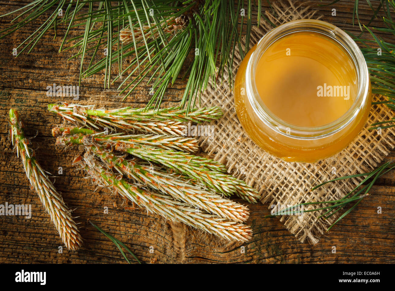 Jarabe casero hecho de verde pino joven las yemas y el azúcar Foto de stock