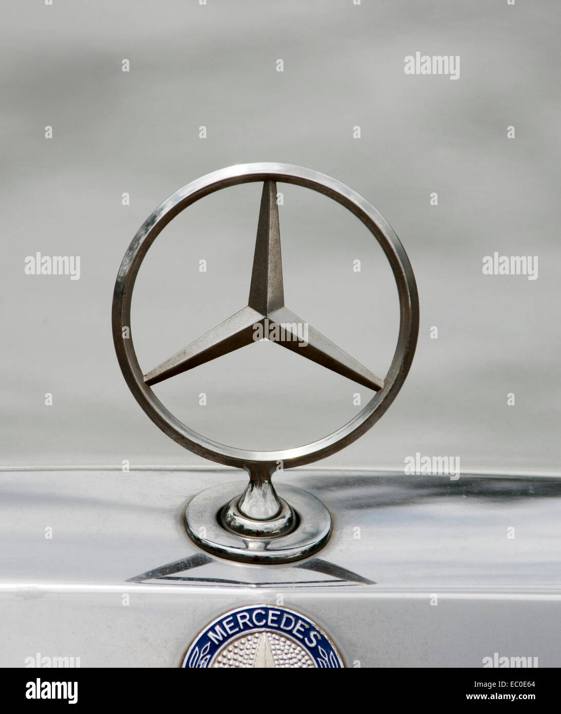 Mercedes plata metalizado coche emblema capot contra el fondo gris pálido, con el nombre del fabricante en plata brillante panel de abajo Foto de stock