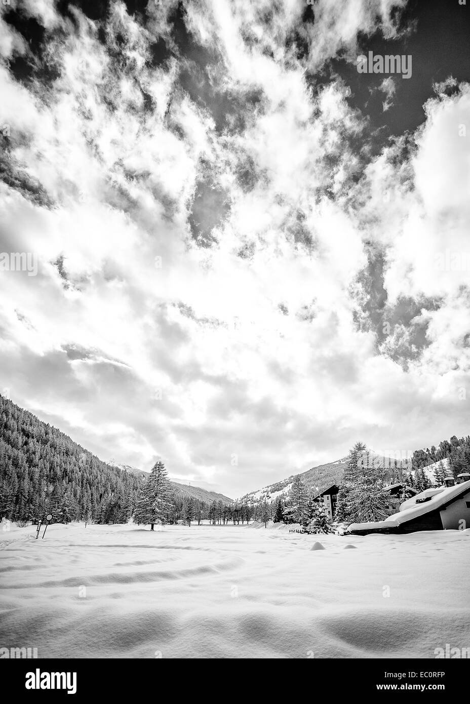 Hermoso paisaje de una escena de la montaña, bosques cubiertos de nieve; el cielo nublado dispersos; blanco y negro la conversión. Foto de stock