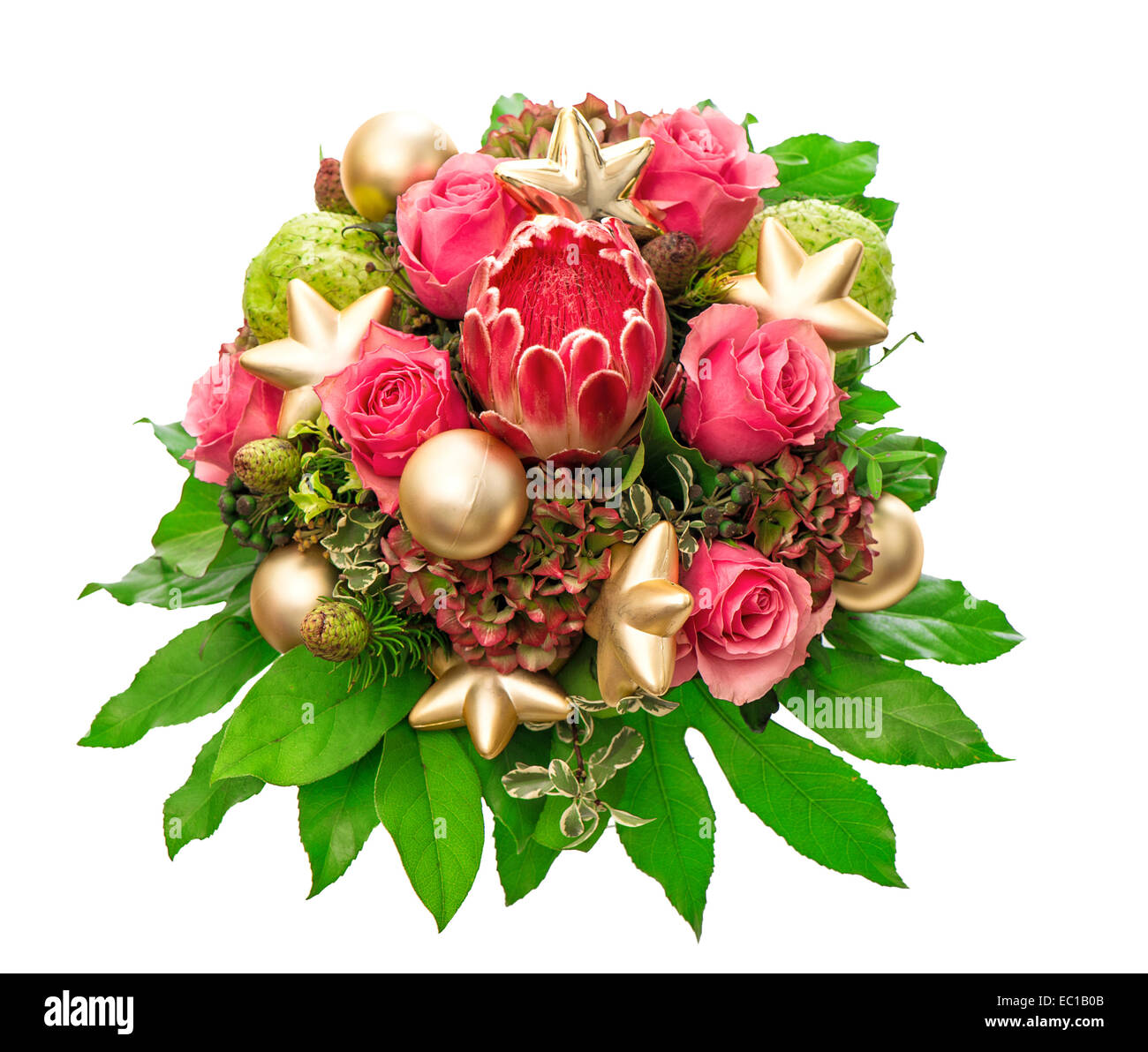 Rosas rosas con decoración de navidad de oro sobre fondo blanco aisladas. festivo con bouquet de flores exóticas protea Foto de stock