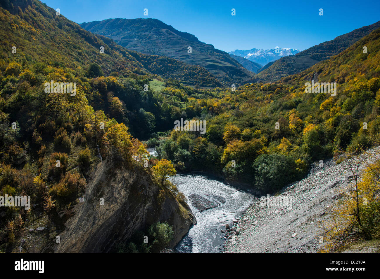 Las montañas del Cáucaso en otoño con el río Argun, Chechenia, Cáucaso, Rusia Foto de stock
