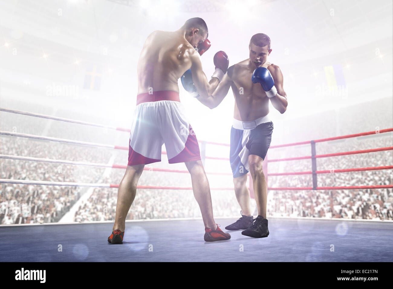 Los dos boxeadores professionl están luchando en la arena Foto de stock