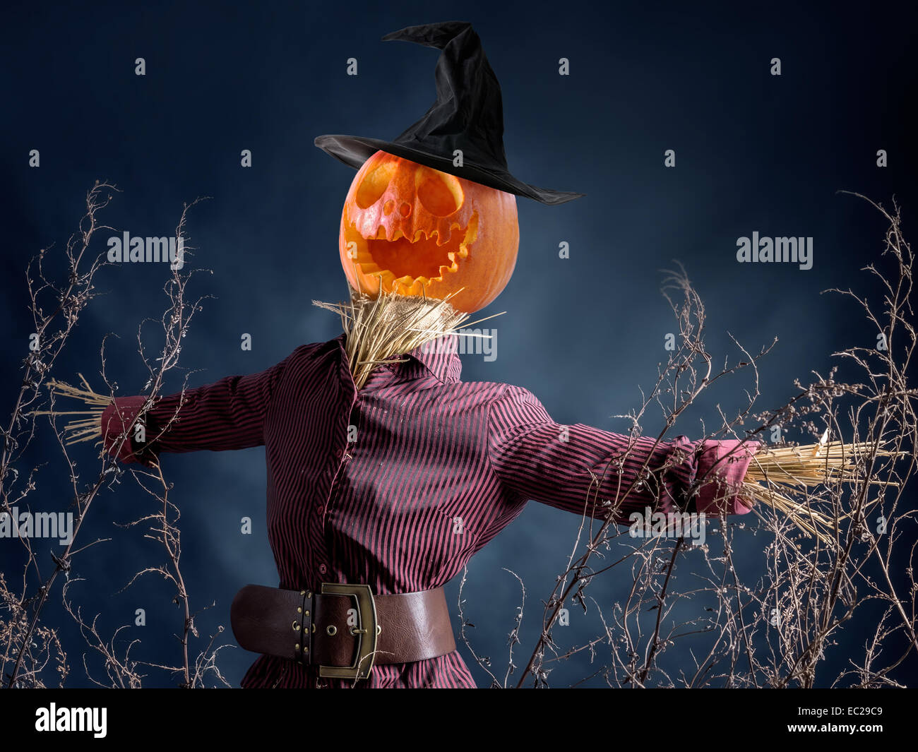 El Espantapájaros de Halloween con jack-o-lantern Cabeza de Calabaza sobre fondo azul oscuro Foto de stock
