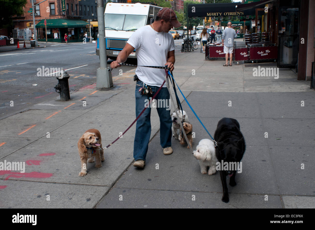 Paseadores de perros pasear perros en la Ciudad de Nueva York. Manhattan  Paws principal interés es ofrecer la mejor atención para NYC perros.  Nuestros experimentados y dedicados andadores son capacitados y dispuestos