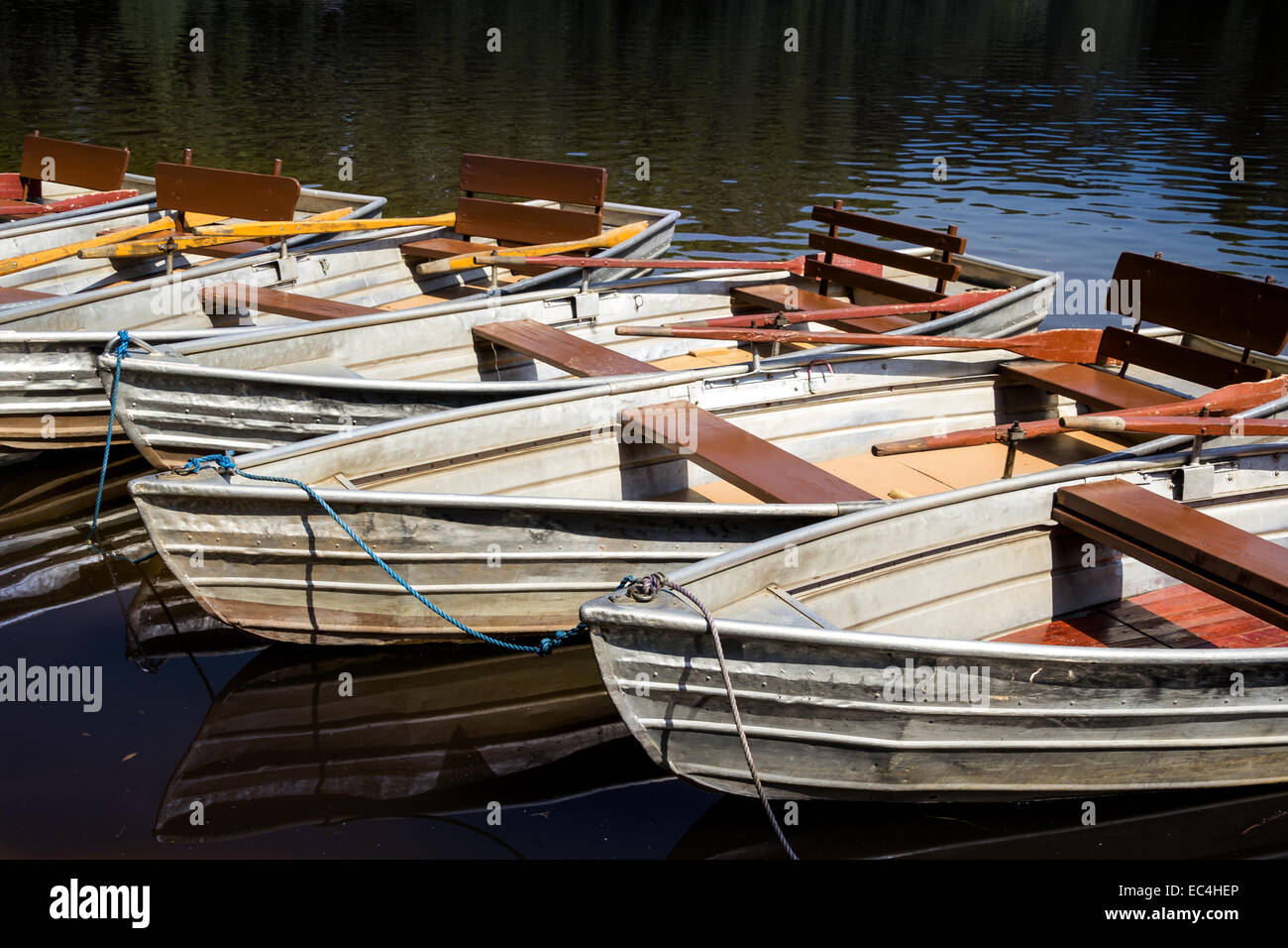 Vaciar los botes de remo en un lago en una fila con espacio de copia Foto de stock