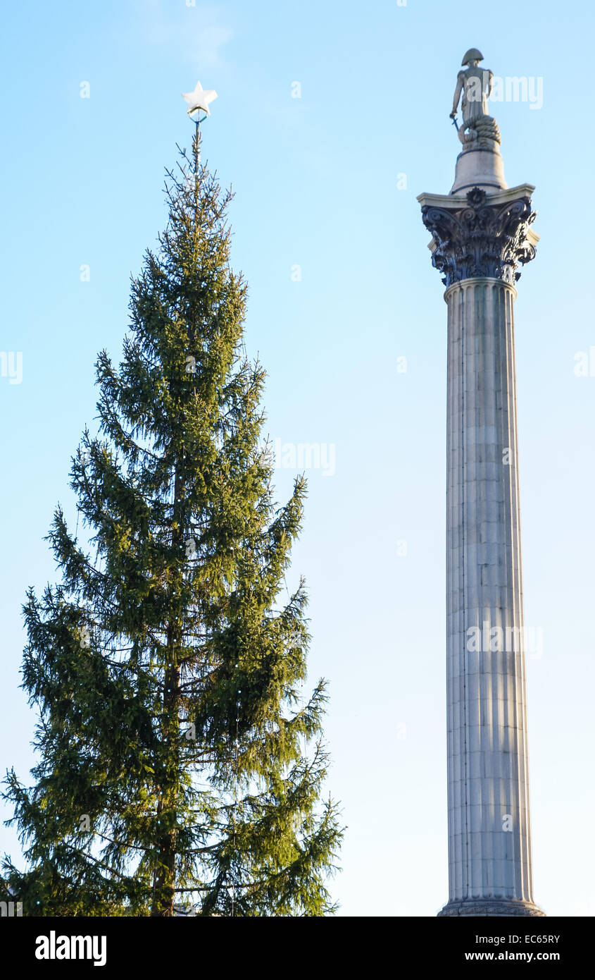 Árbol de Navidad y la columna de Nelson en Trafalgar Square, Londres, Inglaterra, Reino Unido Foto de stock
