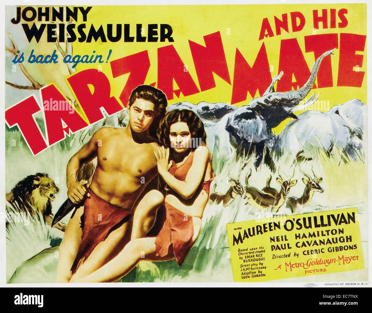 Tarzán y su compañero, 1934, es una película de acción y aventura