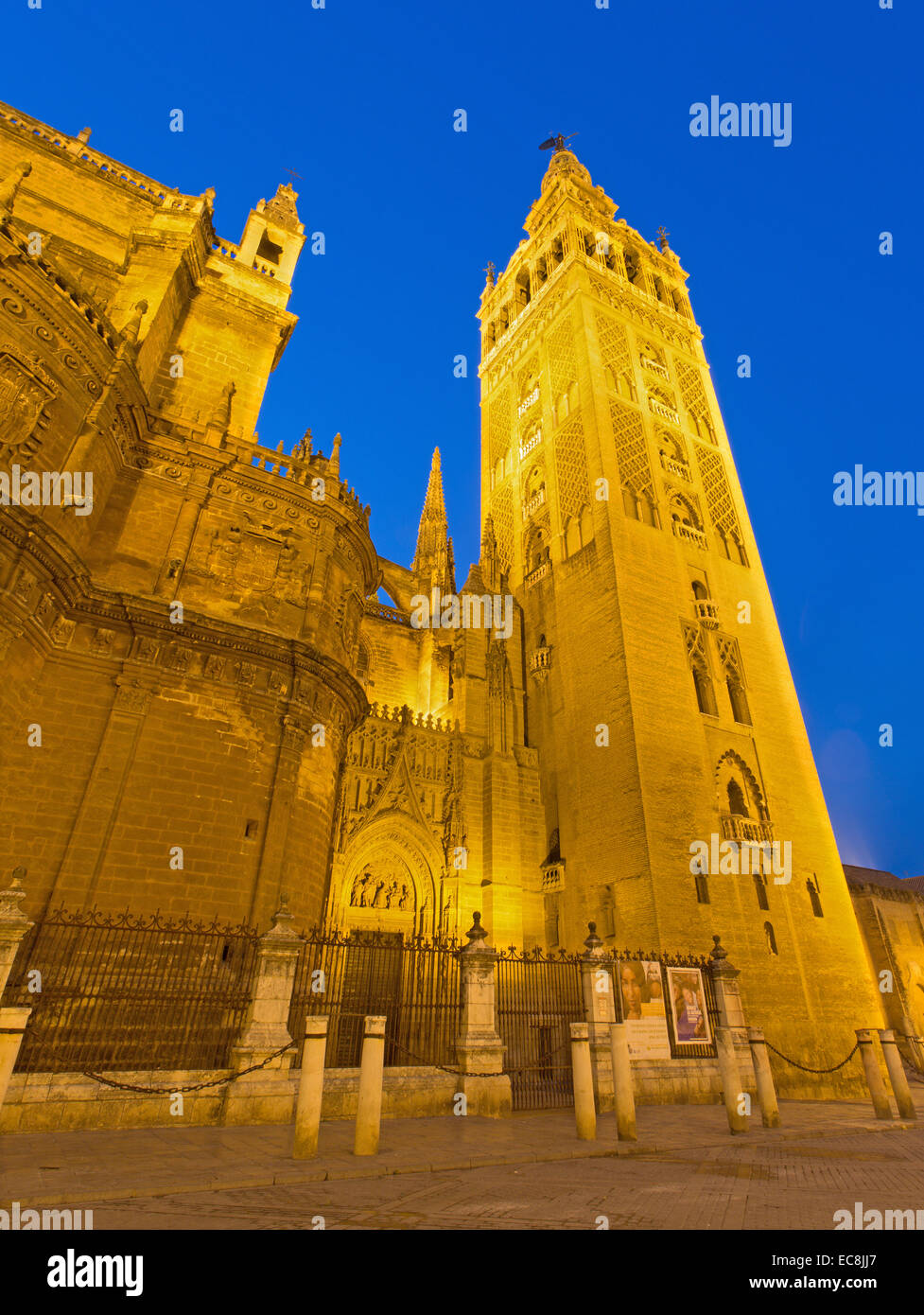 Sevilla - La Catedral de Santa María de la Sede con la Giralda en la tarde al anochecer. Foto de stock