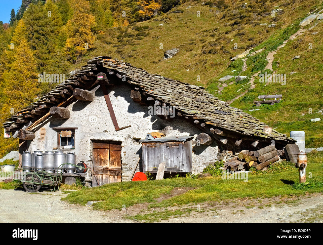 Granero de cabra en la tradicional aldea suiza Isola en el lago de Sils, Engadin, Suiza. Foto de stock