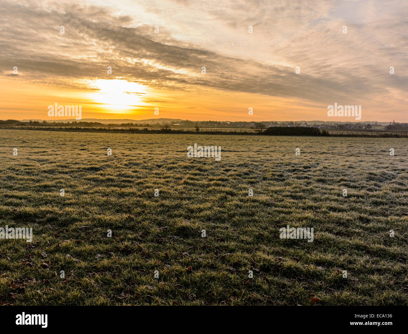 Campo escena describiendo el amanecer sobre abrir finca con una pesada capa de hielo que cubre los campos en primer plano. Foto de stock