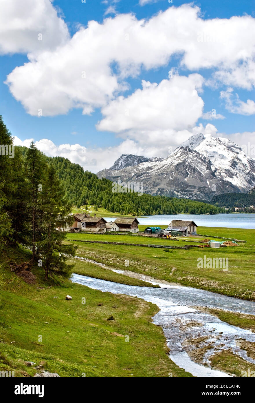 Dorf Isola am Silser Ver Im Sommer, Oberengadin, Schweiz | Village Isola en el lago de Sils, también llamado Aldea de cabra en otoño, Suiza Foto de stock