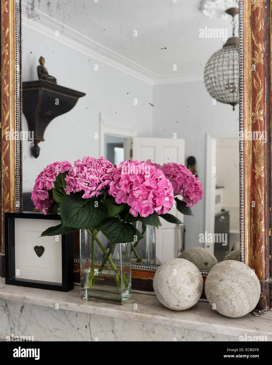 Hortensias en florero fotografías e imágenes de alta resolución - Alamy