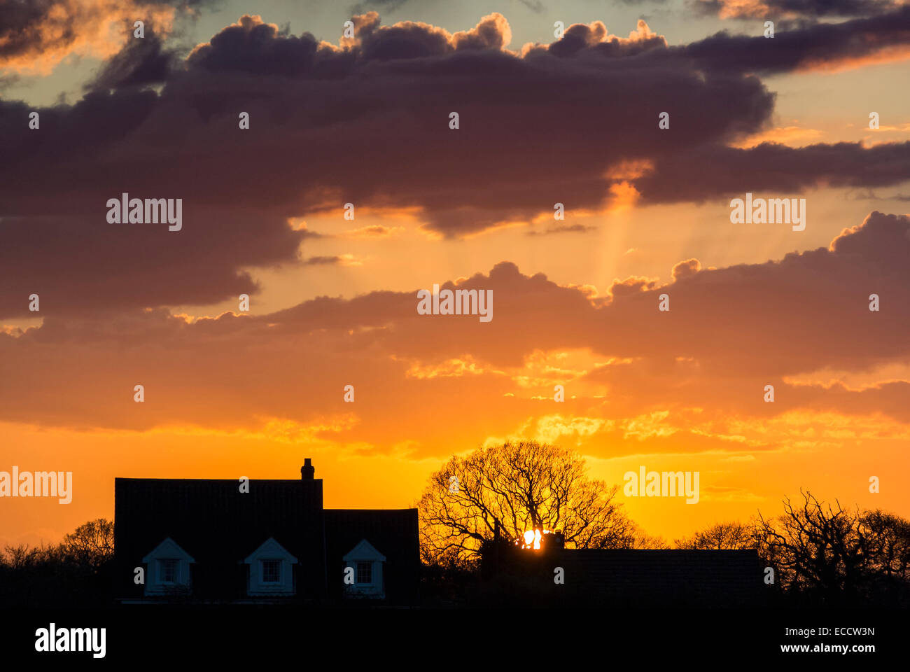 Casa y árbol en el atardecer con puesta de sol Foto de stock