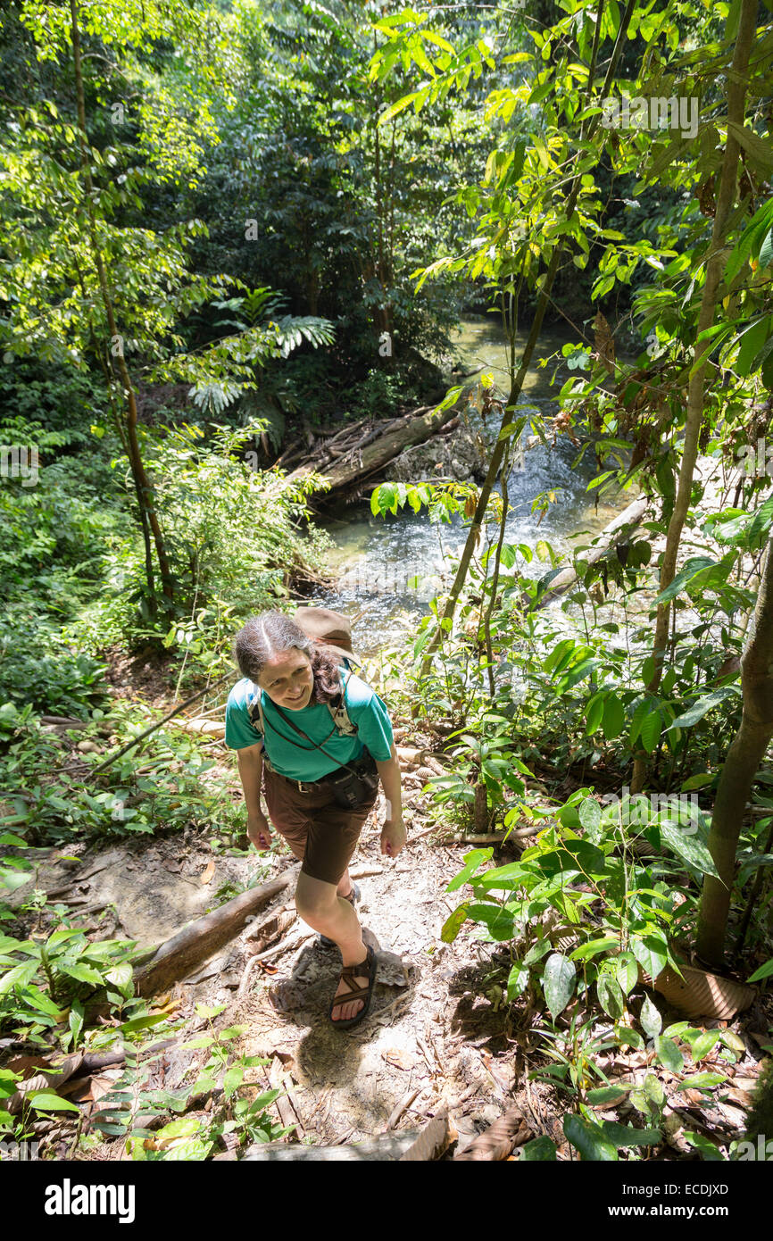 Mujer caminar en la selva tropical, el Parque Nacional de Gunung Mulu, Malasia Foto de stock