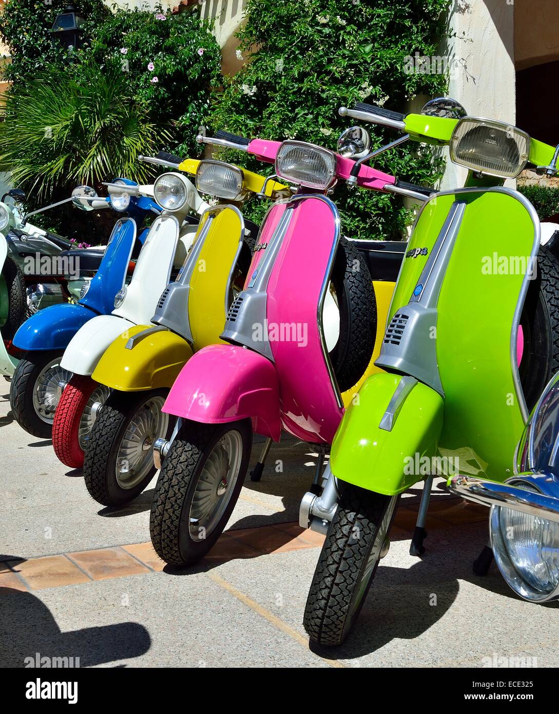 Colorido Vespa Scooters, modelos antiguos y nuevos, en la provincia de  Olbia-Tempio, Cerdeña, Italia Fotografía de stock - Alamy
