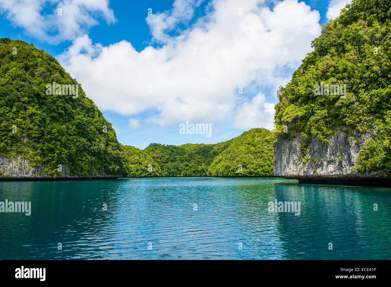 Islas, Islas Rocosas, Palau, Micronesia Foto de stock