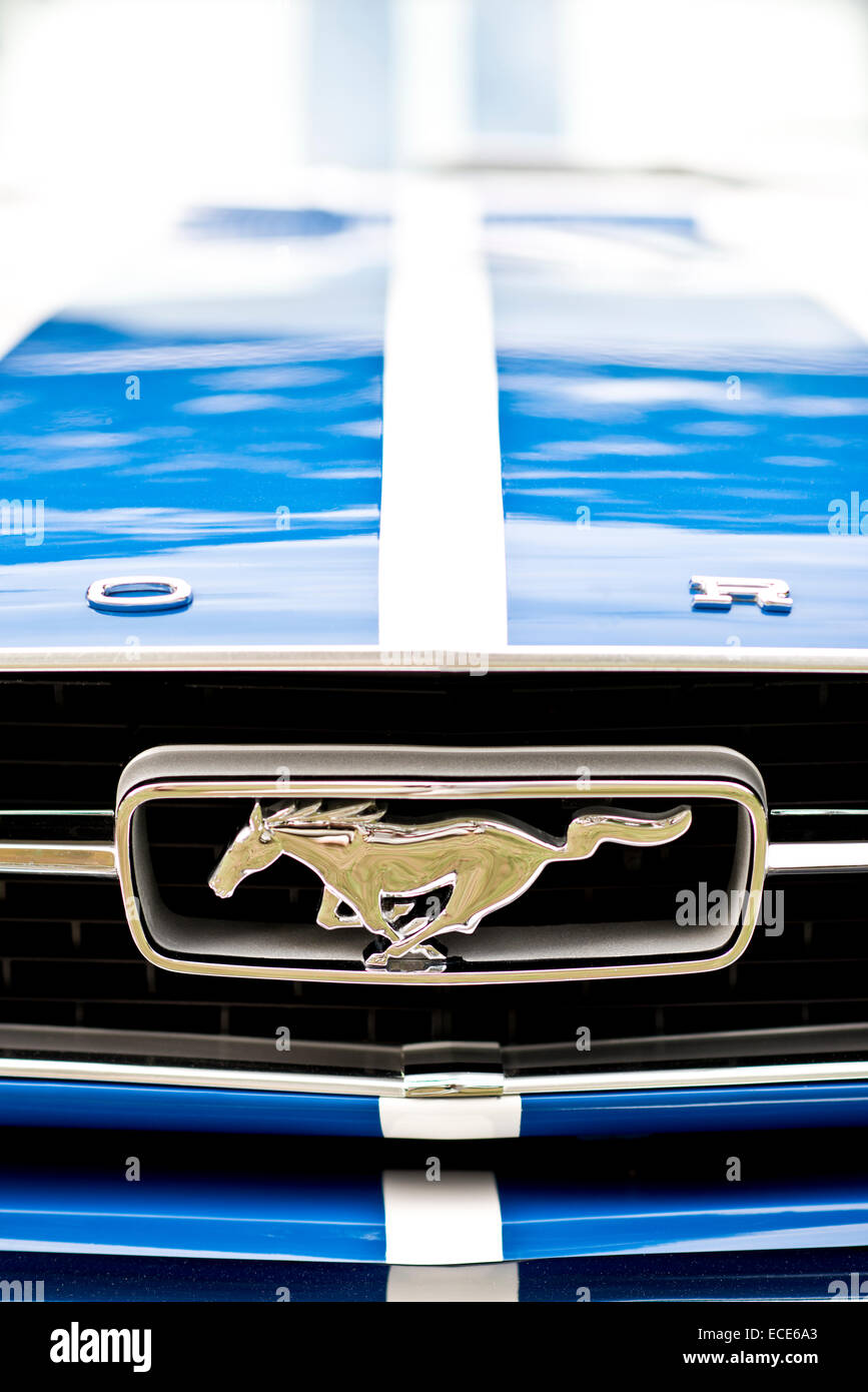 Ford Mustang, Insignia parrilla Foto de stock
