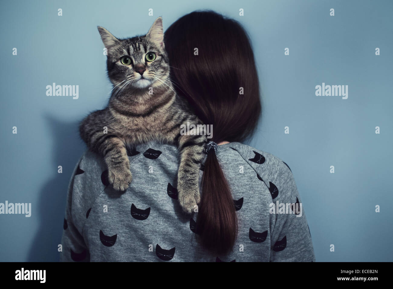 Mujer sosteniendo sobre sus hombros cat Foto de stock