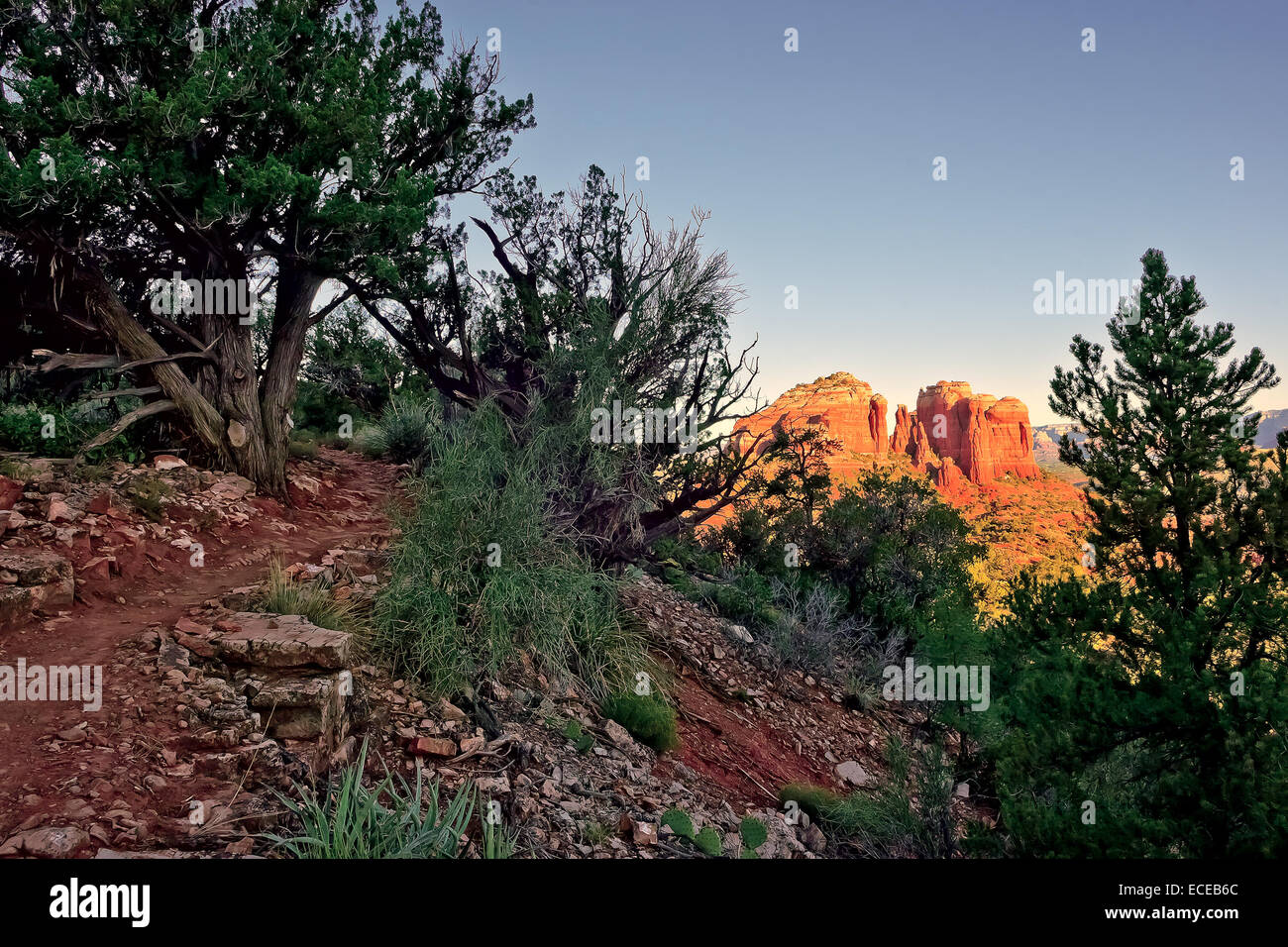 Sedona, Arizona, EE.UU., Vista de Cathedral Rock en la luz del sol Foto de stock