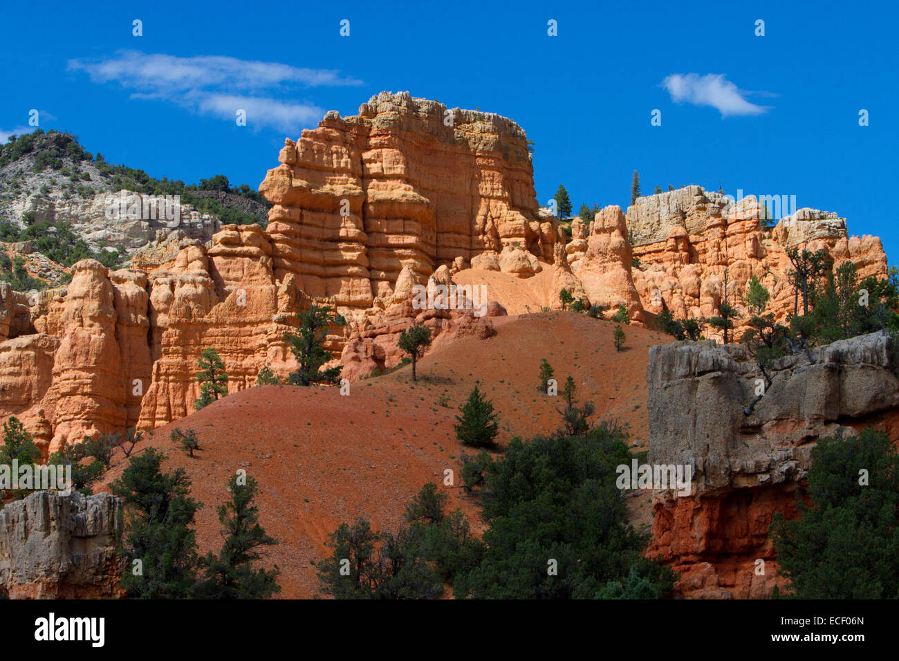Rosa Claron formaciones de roca caliza en el red cañón en el Dixie National Forest, Utah, EE.UU. en el mes de julio Foto de stock