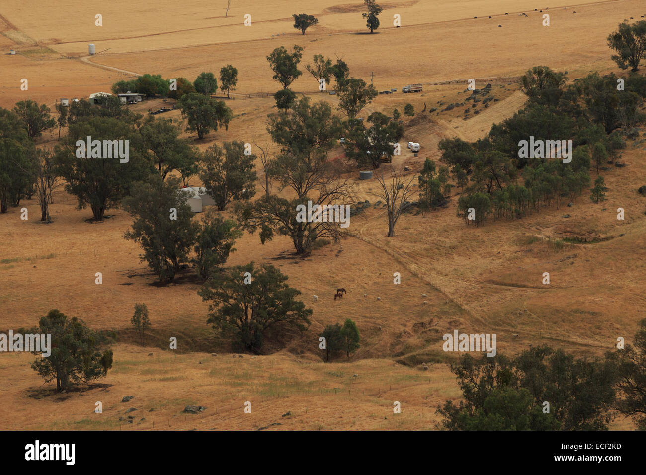 Una perspectiva de pájaro fotografía de una sequía afectó seco granja australiana. Foto de stock