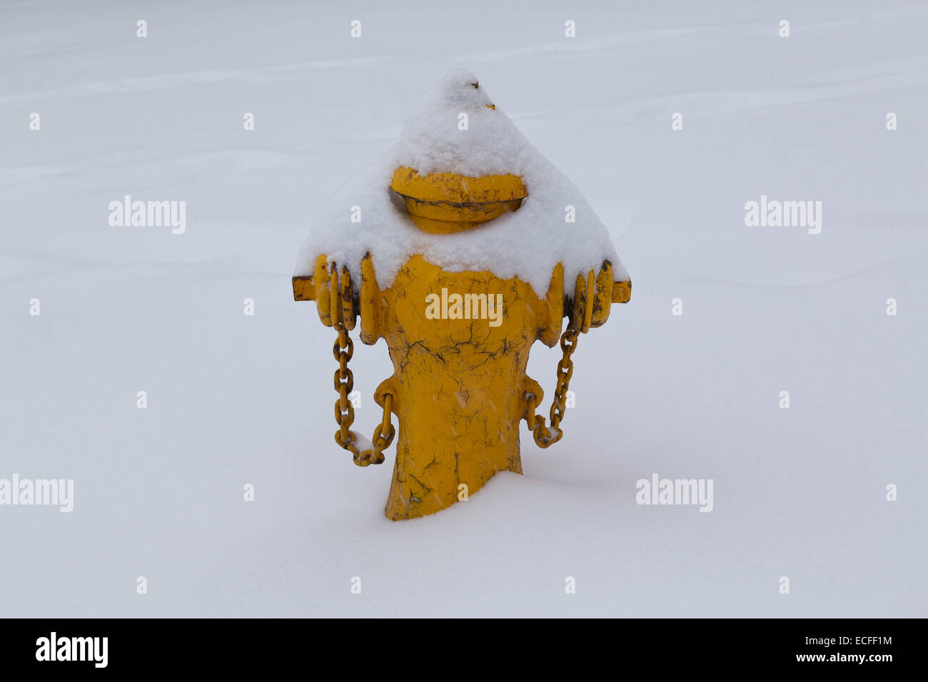 Un hidrante cubierto de nieve en el invierno Foto de stock