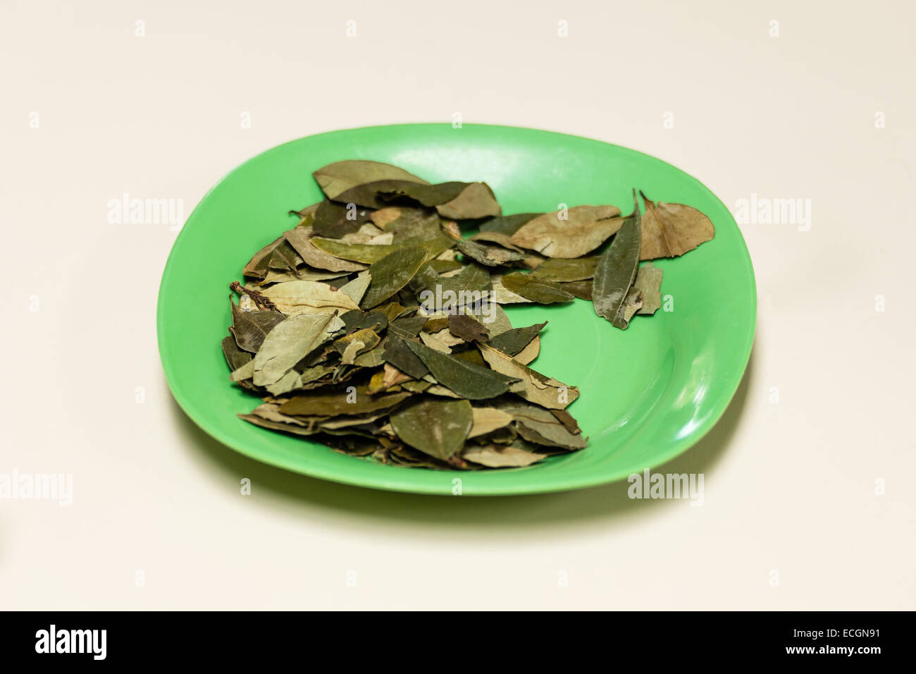 Hojas de coca fotografías e imágenes de alta resolución Alamy