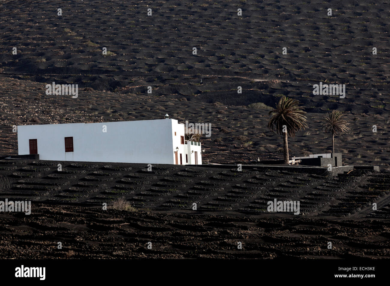 Casa Blanca en la región vitivinícola de La Geria, Lanzarote, Islas Canarias, España Foto de stock