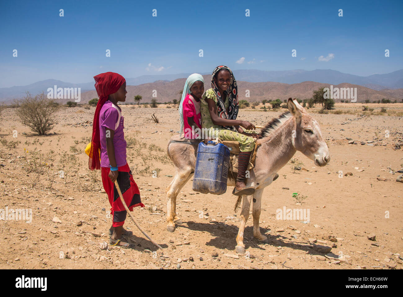 Viaja con un burro fotografías e imágenes de alta resolución - Alamy