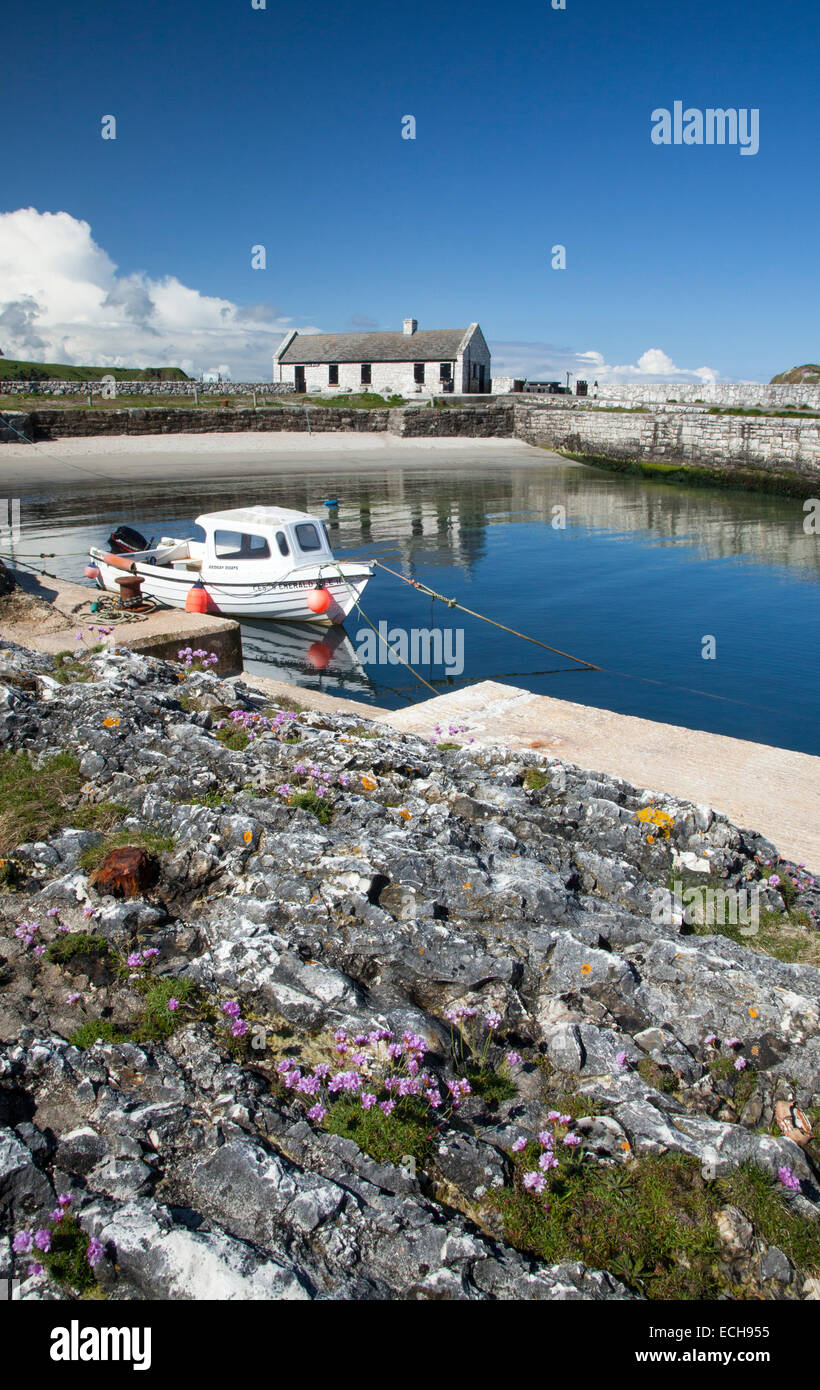 Barco pesquero en Ballintoy Harbour, Costa Causeway, Condado de Antrim, Irlanda del Norte. Foto de stock