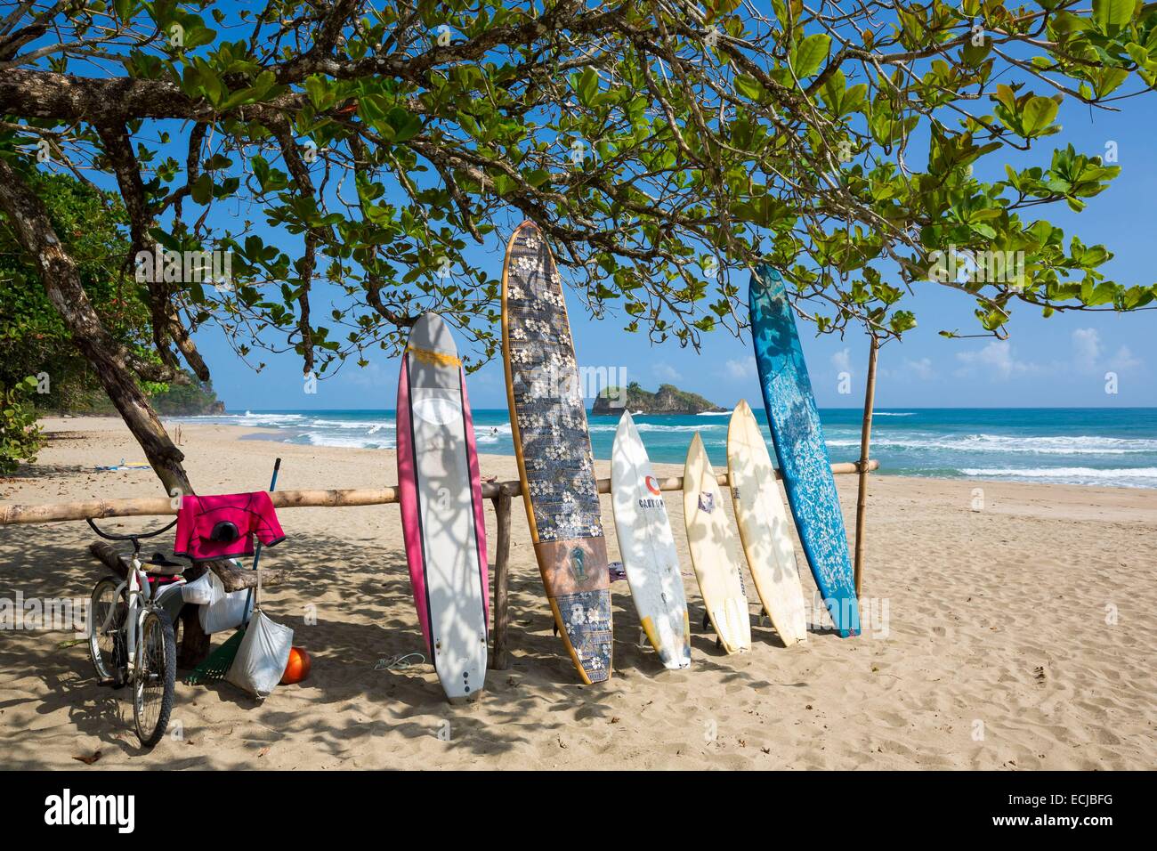 Costa Rica, provincia de Limón, Costa Caribe, Puerto Viejo de Talamanca, Playa  Playa Cocles, tablas de surf Fotografía de stock - Alamy