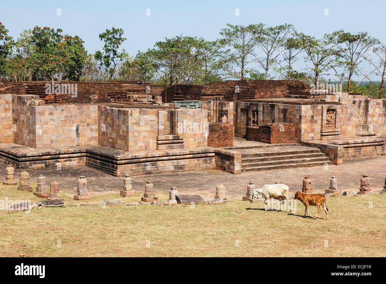 India, Odisha, Ratnagiri, monasterio budista de fecha 8ª-11ª Siglo Foto de stock