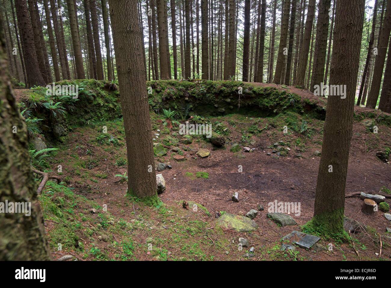 Reino Unido, Irlanda del Norte, en el Condado de Down, Bryansford, el frondoso y vibrante Tollymore Park es donde Theon está acechado por Ramsay nieve, y ha sido utilizado para describir las tierras cubiertas de nieve entre Invernalia y el muro Foto de stock